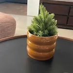 Blue Edge Makenzy Daire Larnaca